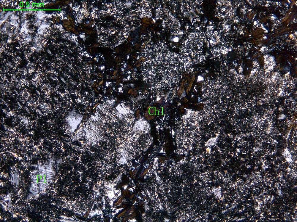 蚀变细中粒闪长岩