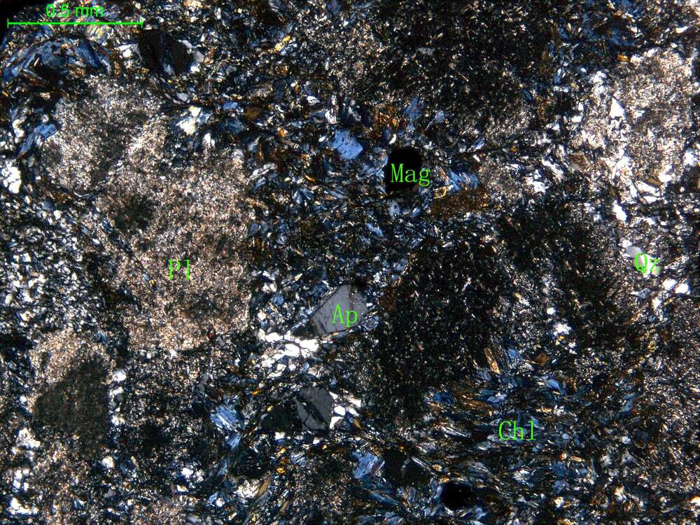 蚀变细中粒闪长岩