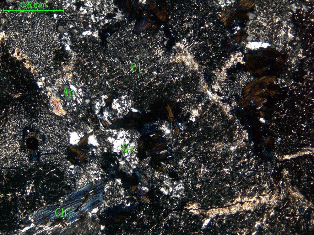 蚀变细中粒闪长岩