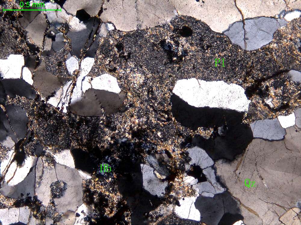 蚀变角闪斜长片麻岩