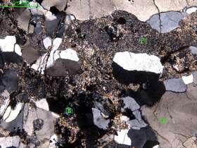 蚀变角闪斜长片麻岩