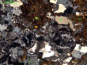 黑云母斜长片麻岩