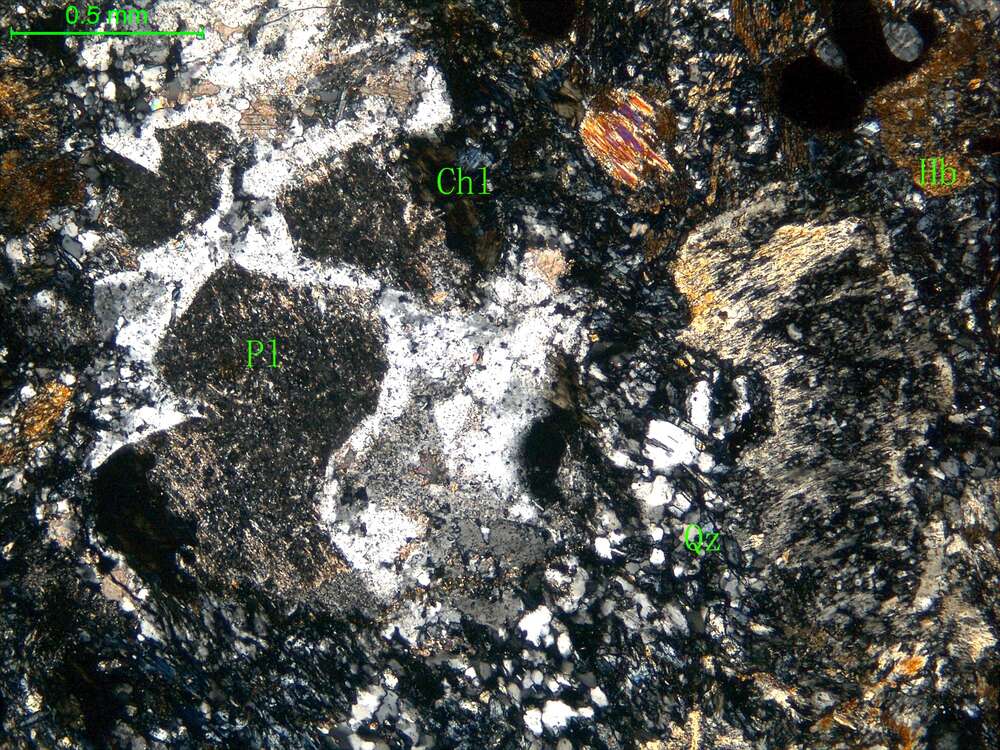 硅化细粒闪长岩