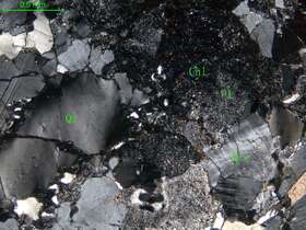 碎裂花岗闪长岩