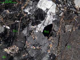 碎裂花岗闪长岩