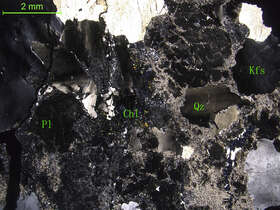 蚀变细中粒花岗闪长岩