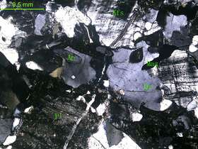 蚀变细粒花岗闪长岩