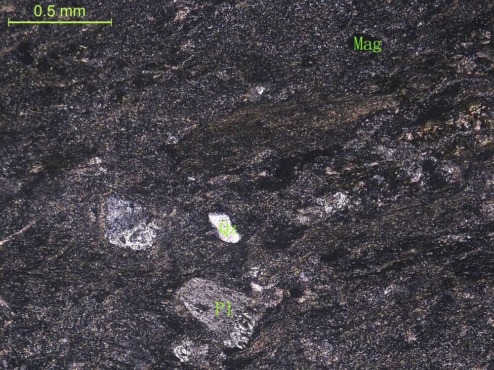 片理化蚀变英安岩