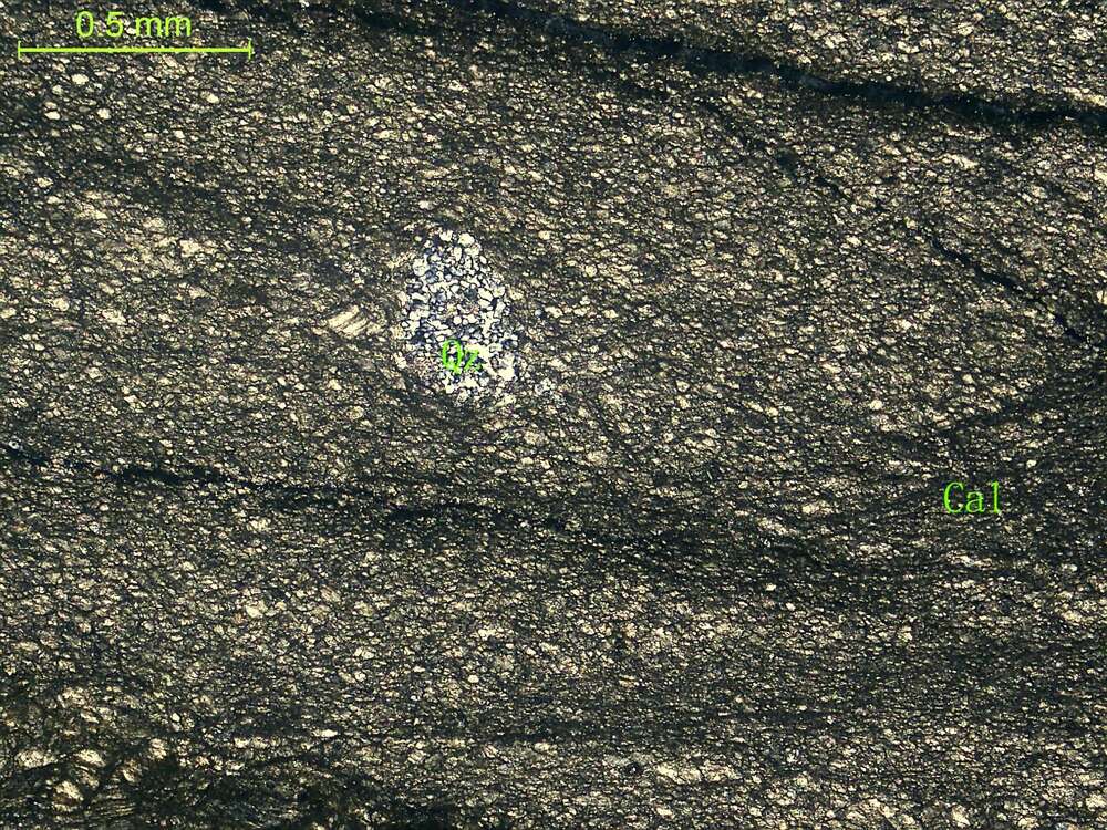 片理化粉晶灰岩