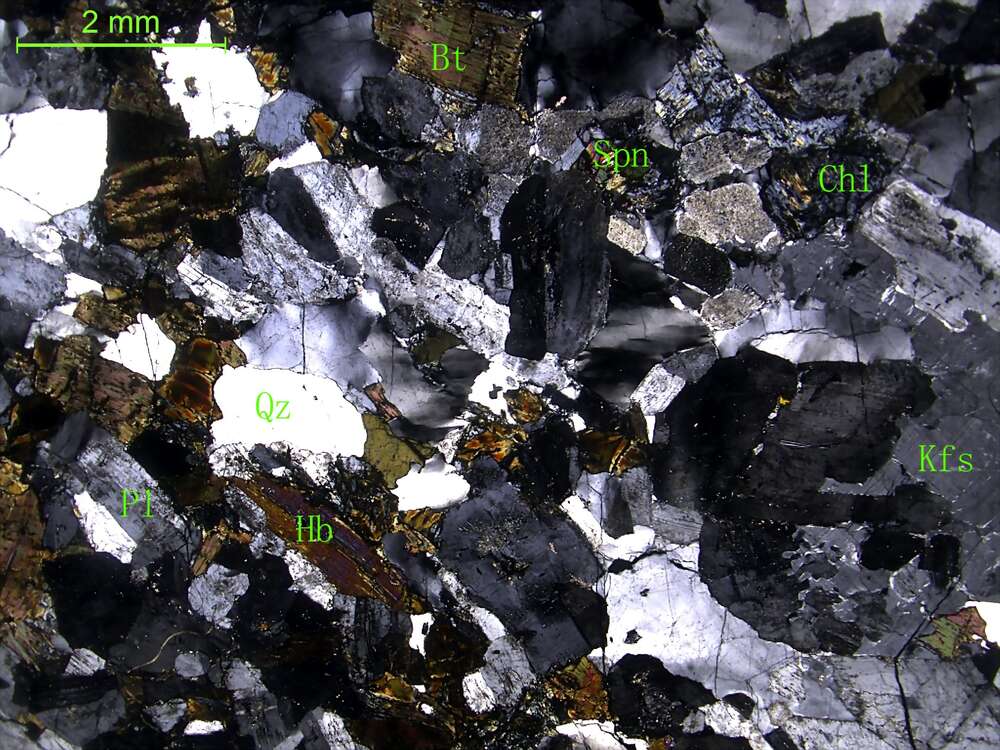 细中粒花岗闪长岩