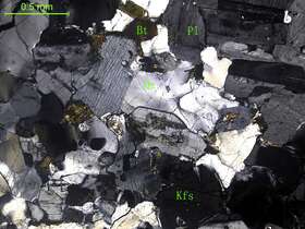 细粒二长花岗岩