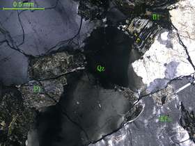 细粒二长花岗岩