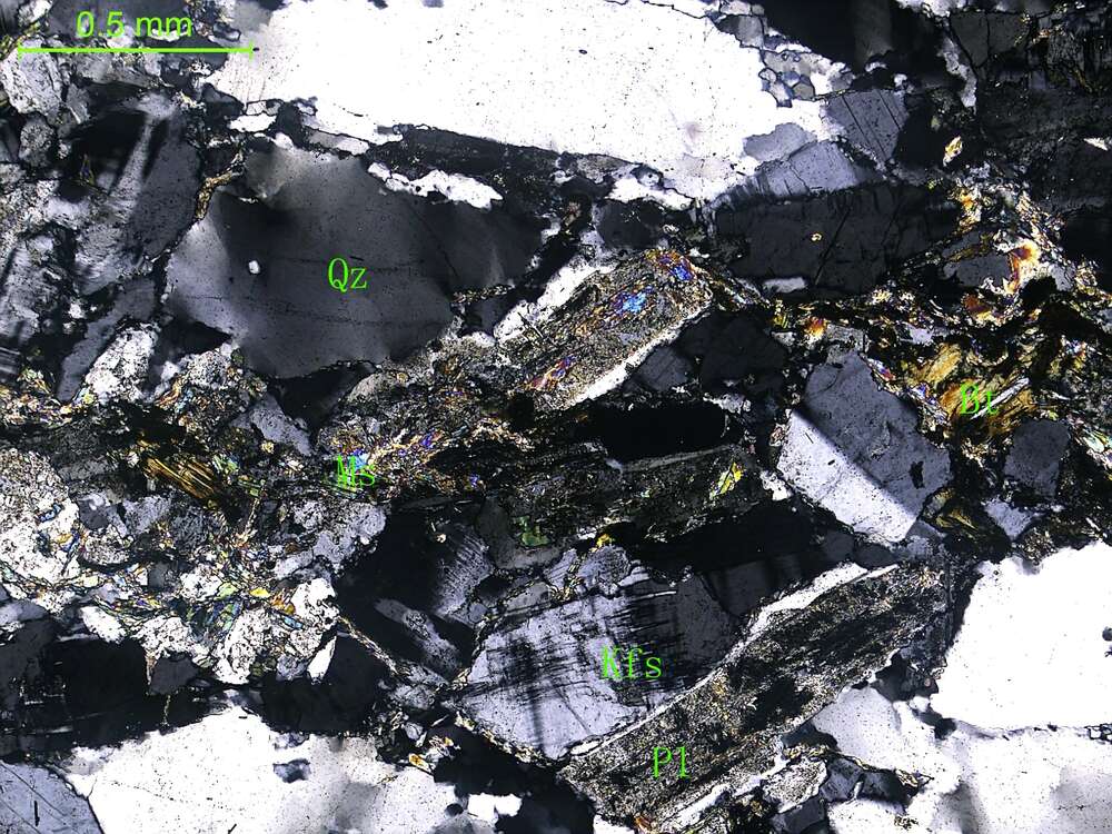 片理化细粒二长花岗岩