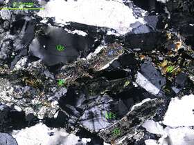 片理化细粒二长花岗岩