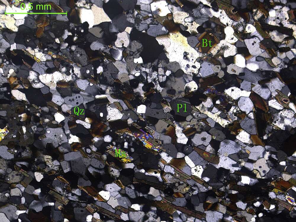 黑云母石英片岩