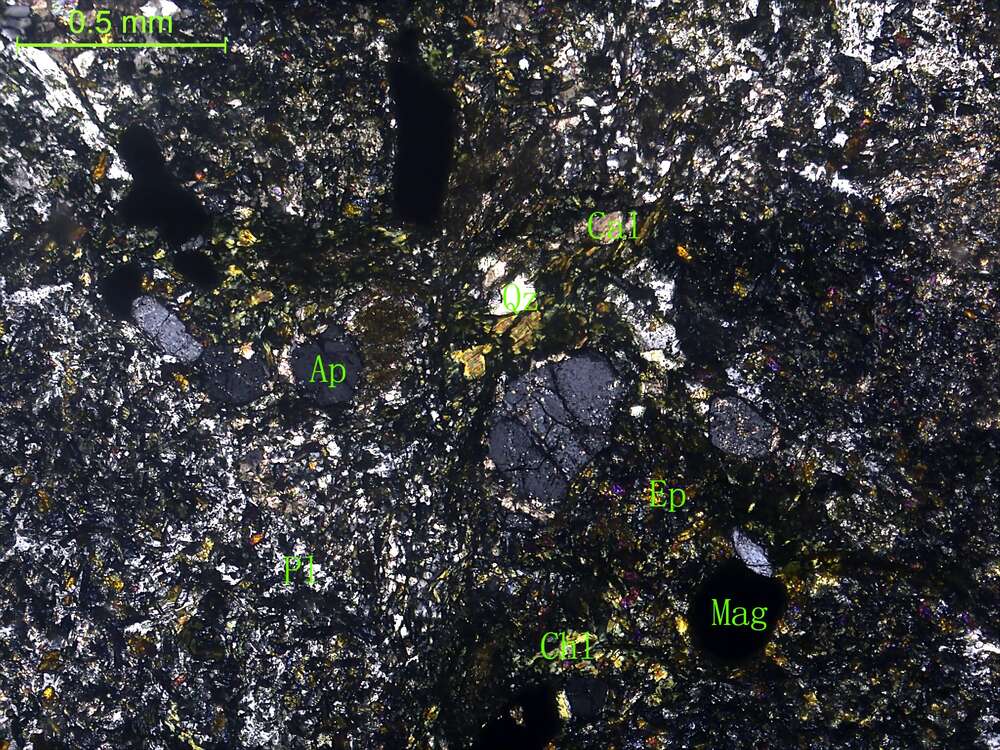 细中粒石英闪长岩