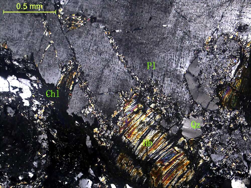 蚀变细中粒石英闪长岩