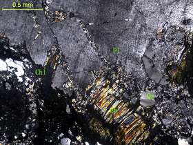 蚀变细中粒石英闪长岩