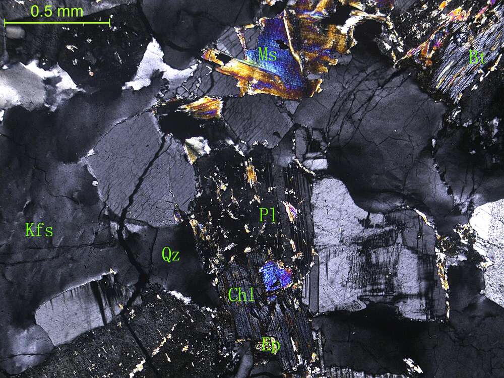 细粒二长花岗岩