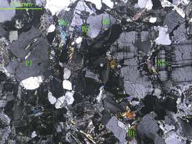 细粒二长花岗岩