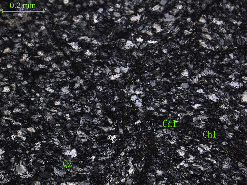 蚀变泥质粉砂岩