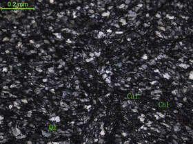 蚀变泥质粉砂岩