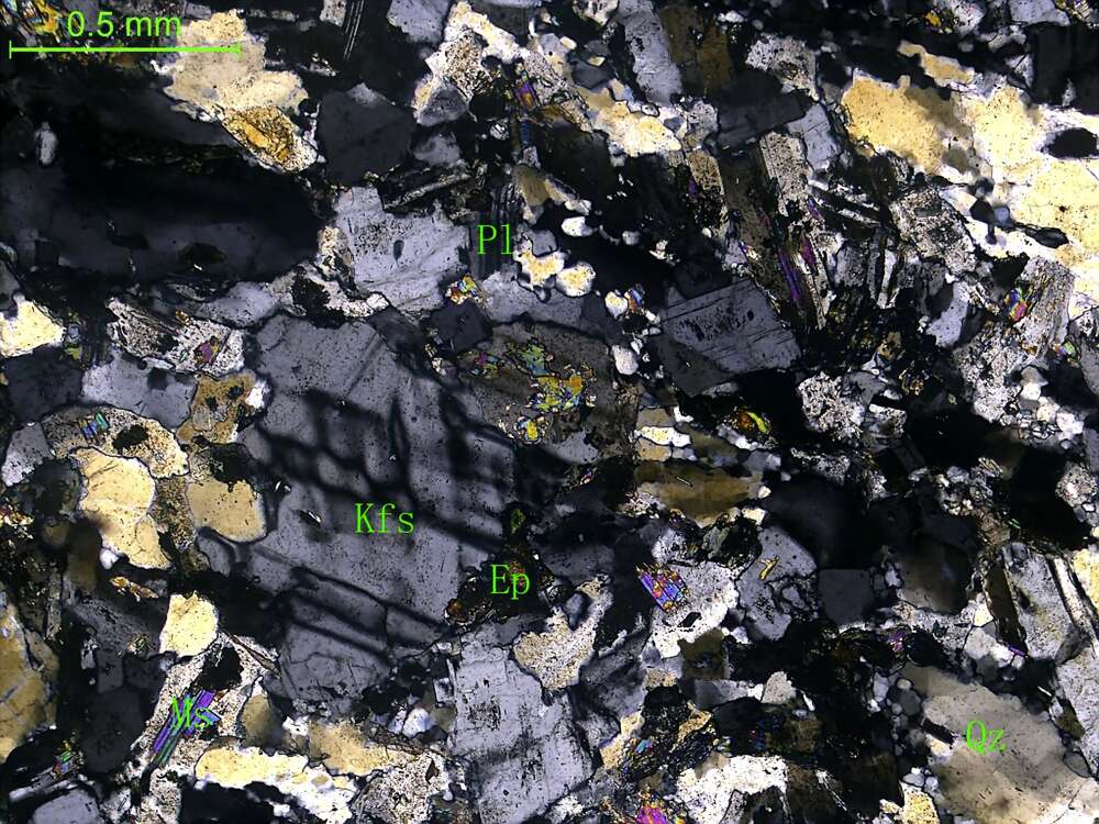 受构造挤压片理化细粒二长花岗岩