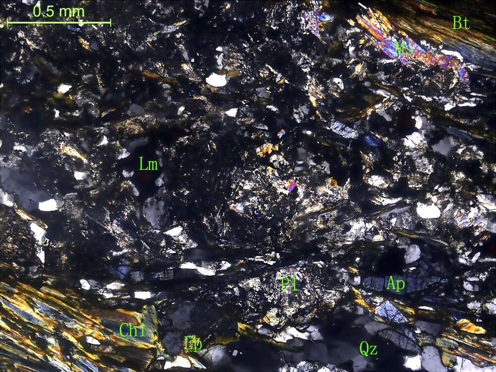 二云母斜长片麻岩
