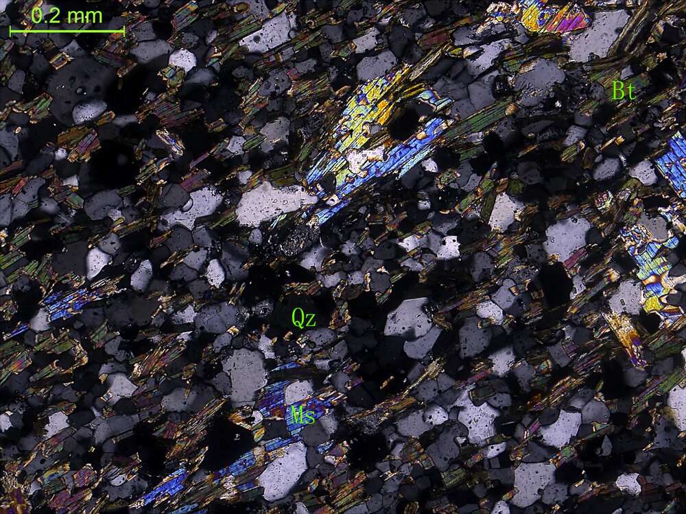 二云母石英片岩