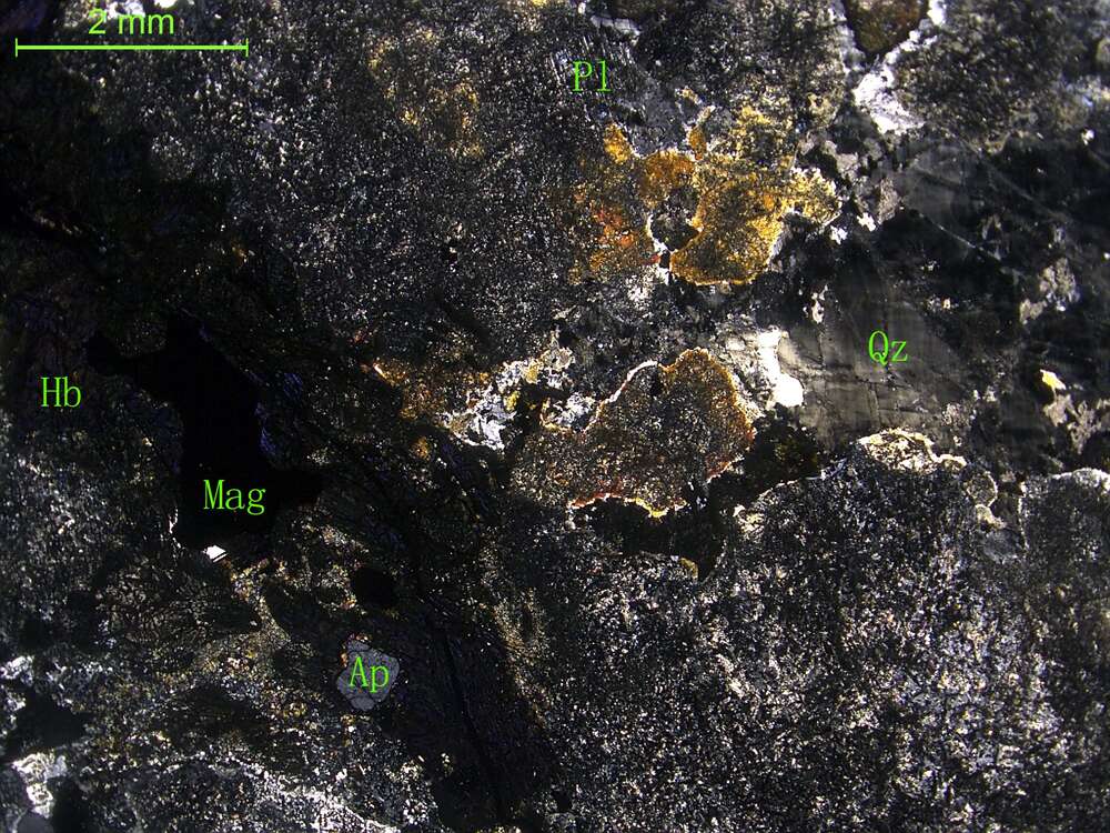 蚀变细中粒石英闪长岩