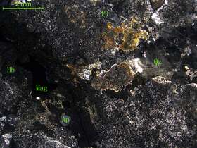 蚀变细中粒石英闪长岩