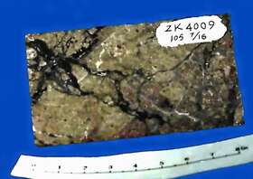 蚀变岩型金矿石