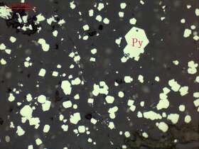 自形粒状黄铁矿