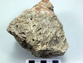 碳酸盐化石英脉金矿石