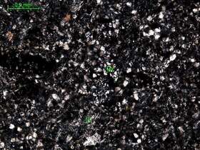 硅化、绿泥石化