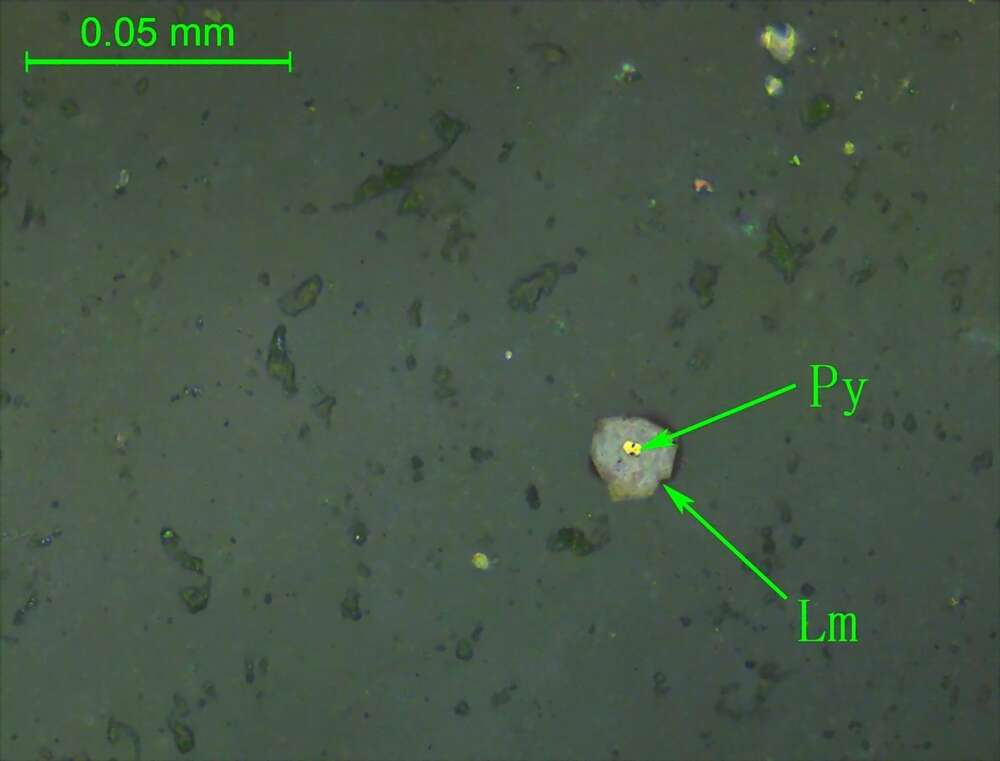 黄铁矿褐铁矿化