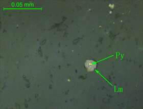 黄铁矿褐铁矿化