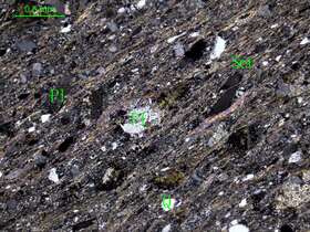 千枚岩化蚀变凝灰岩