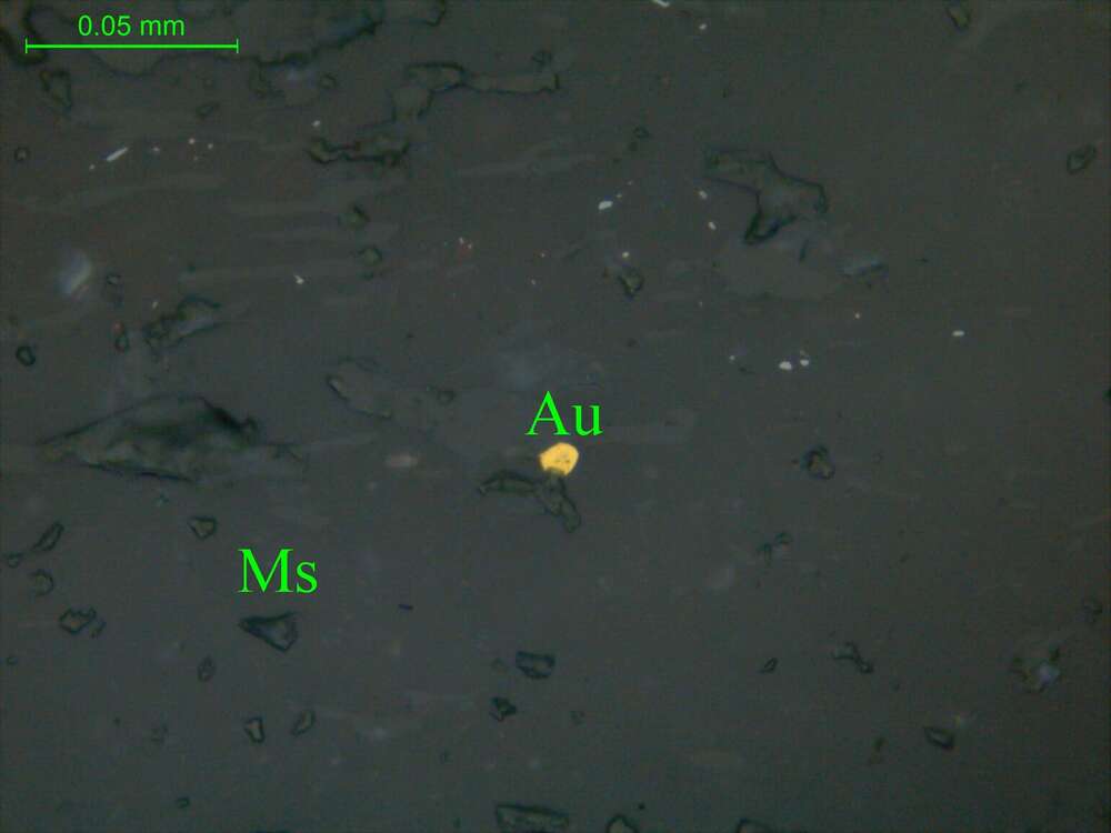 自然金（粒间金）