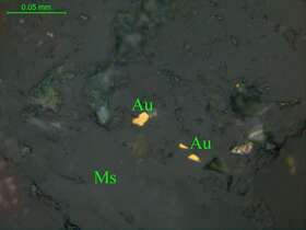 自然金（粒间金）