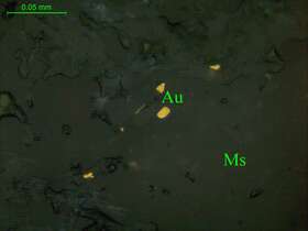 自然金（粒间金）