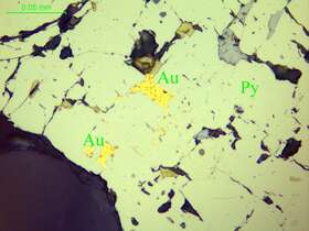 黄铁矿包裹自然金