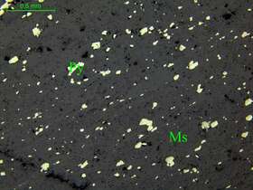 蚀变围岩中黄铁矿化