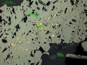 磁铁矿、黄铜矿