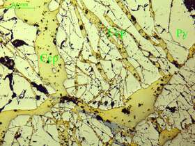 黄铁矿、 黄铜矿