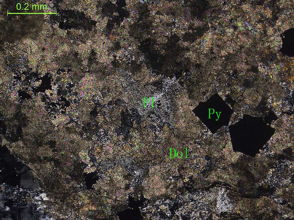 含金蚀变玄武岩