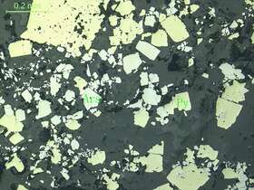 中等浸染状构造