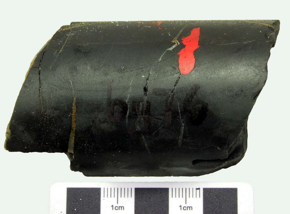 含沥青粉砂质泥岩