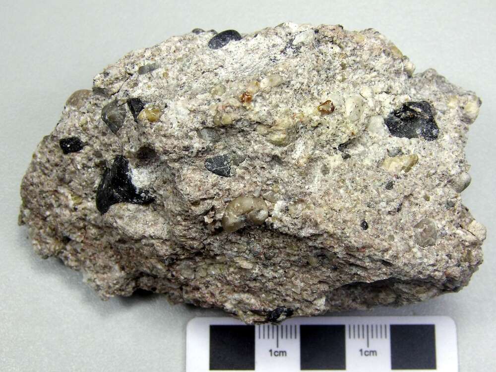 含砾砂岩