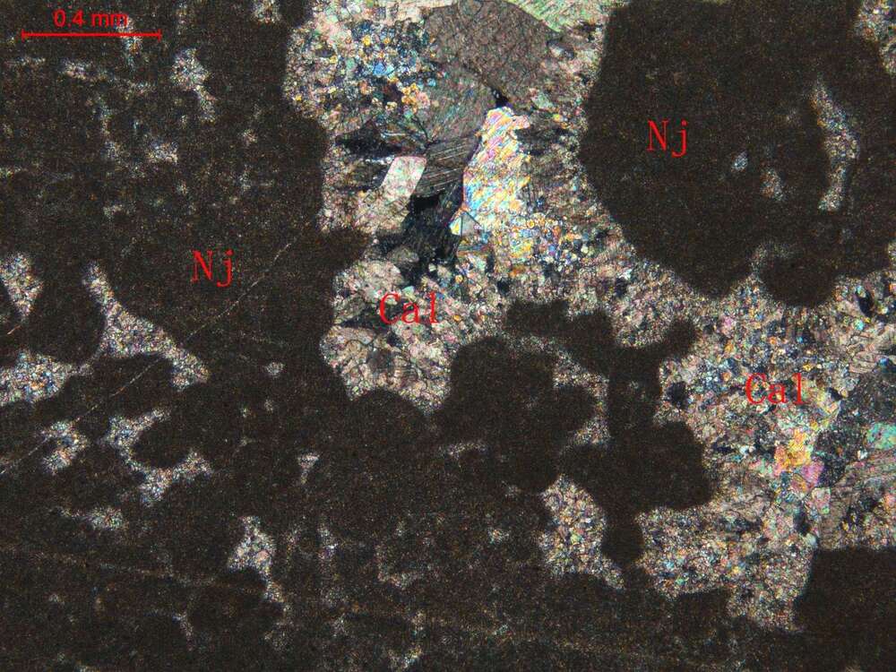 溶蚀交代泥晶灰岩